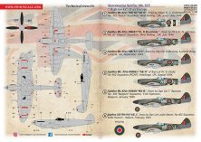 1/48 Supermarine Spitfire Mk.XIV High Backs Part 1