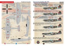 1/48 Supermarine Spitfire Mk.XIV High Backs Part 2