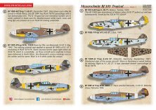 1/48 Messerschmitt Bf-109. Tropical options. Part 1.2