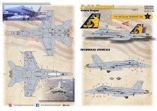 1/48 F/A-18C Hornet Golden Dragon No.164909 Nf 300