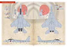 1/72 McDonnell F-15J Eagle 60th Anniversary Part 2