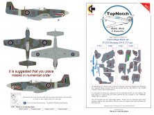 1/48 P-51D Mustang GA-S 112 sqn camouflage pattern