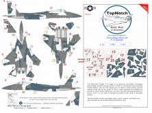 1/48 McDonnell F-15C Eagle Eagle Splinter scheme Camouflage mask