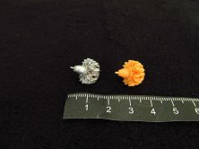 1/72 Gnome-Rhone 14N