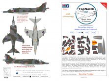 1/24 BAe Harrier GR.3 standard camouflage pattern paint mask