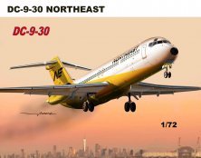 1/72 Douglas DC-9 Northeast DC-9-30