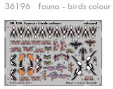 1/35 fauna  birds colour