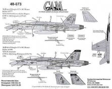 1/48 McDonnell Douglas F/A-18C VFA-192, VFA-86