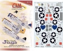 1/48 Republic P-47N Thunderbolt (3)