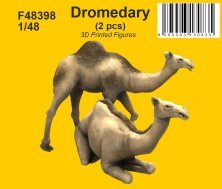 1/48 2x Dromedary