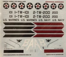 1/48 McDonnell-Douglas T-45C Centennial Goshawks
