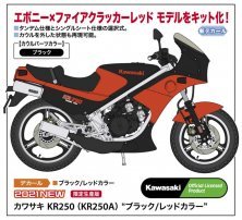 1/12 Kawasaki KR250 Black/Red