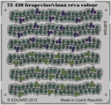 1/72 Grapevine colour