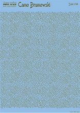 1/48 Camo Brumowski (wet decals)