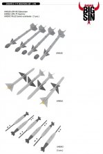 BIGSIN 1/48 F-4 WEAPONS SET
