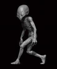 1/24 Grey Alien