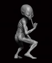 1/24 Grey Alien