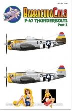 1/32 Republic P-47D Thunderbolt Bubble