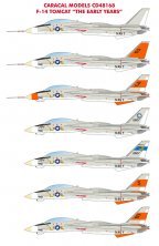 1/48 Grumman F-14 Tomcat