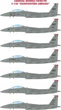 1/48 McDonnell F-15E Eagle Gunfighters Abroad