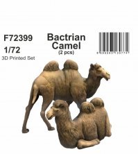 1/72 Bactrian Camel, 2 pcs.