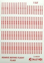 1/48 Remove Before Flight