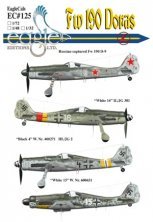 1/32 Focke Wulf Fw 190D