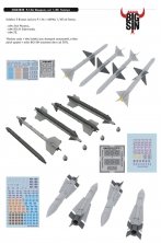 BIGSIN 1/48 F-14A Weapon set