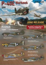 1/48 P-40E Warhawk Profipack