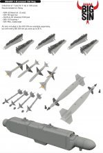 BIGSIN 1/48 F-4E armament