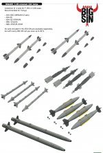 BIGSIN 1/48 F-35C armament for Tamiya
