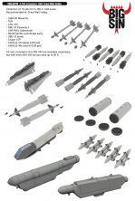 BIGSIN 1/48 A-10A armament for G.W.H.