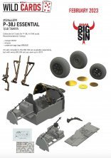 BIGSIN 1/48 P-38J ESSENTIAL