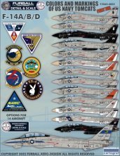 1/48 Colors & Markings of US Navy Tomcats Part 13