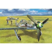 1/48 Focke-Wulf Fw 190D-13