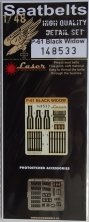 1/48 Northrop P-61A/P-61B 'Black Widow'  SEATBELTS