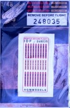1/48 Remove Before Flight IDF