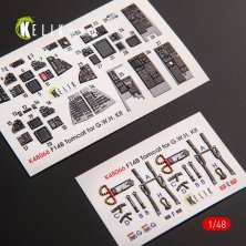 1/48 Grumman F-14B Tomcat interior decals for Great Wall Hobby