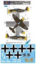 1/48 Decals P-47D-2-RA over Rechlin (HAS)