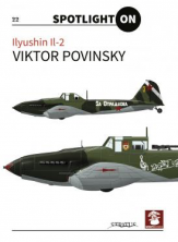 Ilyushin Il-2 Spotlight 22