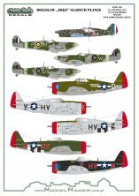 1/48 Boleslaw Mike Gladych planes