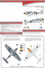 1/48 Focke-Wulf Fw-190A-6 Green 1G Herrmann Green 1