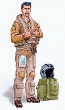 1/48 Dassault Mirage 2000 resin pilot