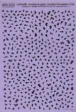 1/72 Camouflage mottle Luftwaffe. Southern Spain, October/Novemb