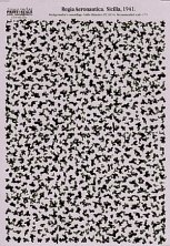 1/72 Camouflage mottle Regia Aeronautica Sicilia 1941