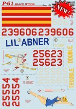 1/32 P-61 Black Widow