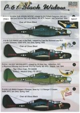 1/48 P-61 Black Widow Part 1 (wet decals)