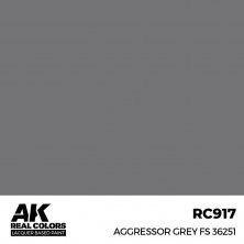 Aggressor grey fs 36251 (RC248)