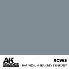 Raf medium sea grey bs381c/637 (RC289)