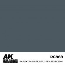 Raf extra dark sea grey bs381c/640 (RC295)